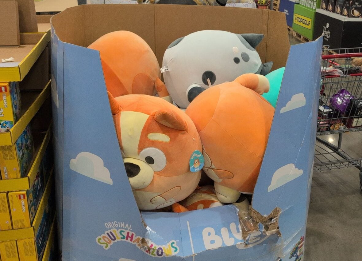 20 Bluey Squish