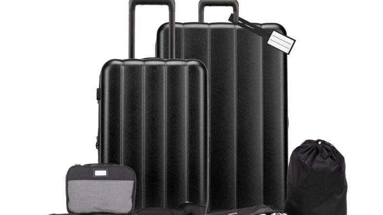 CALPAK Multi-Luggage