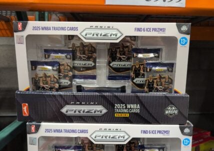 Panini Prizm Wnba Bundle