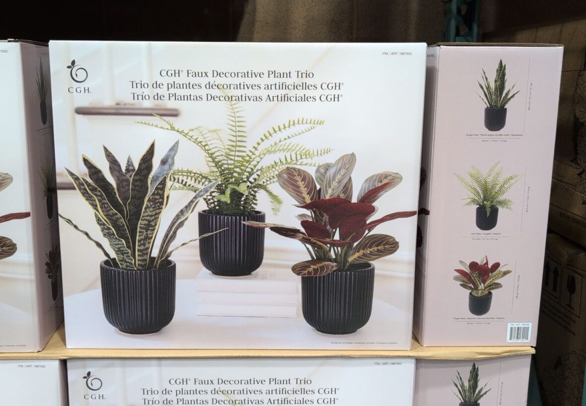 え803 XL. PLANT HUNTER 植木鉢 New Product: C.G. Hunter Faux Decorative Plant Trio