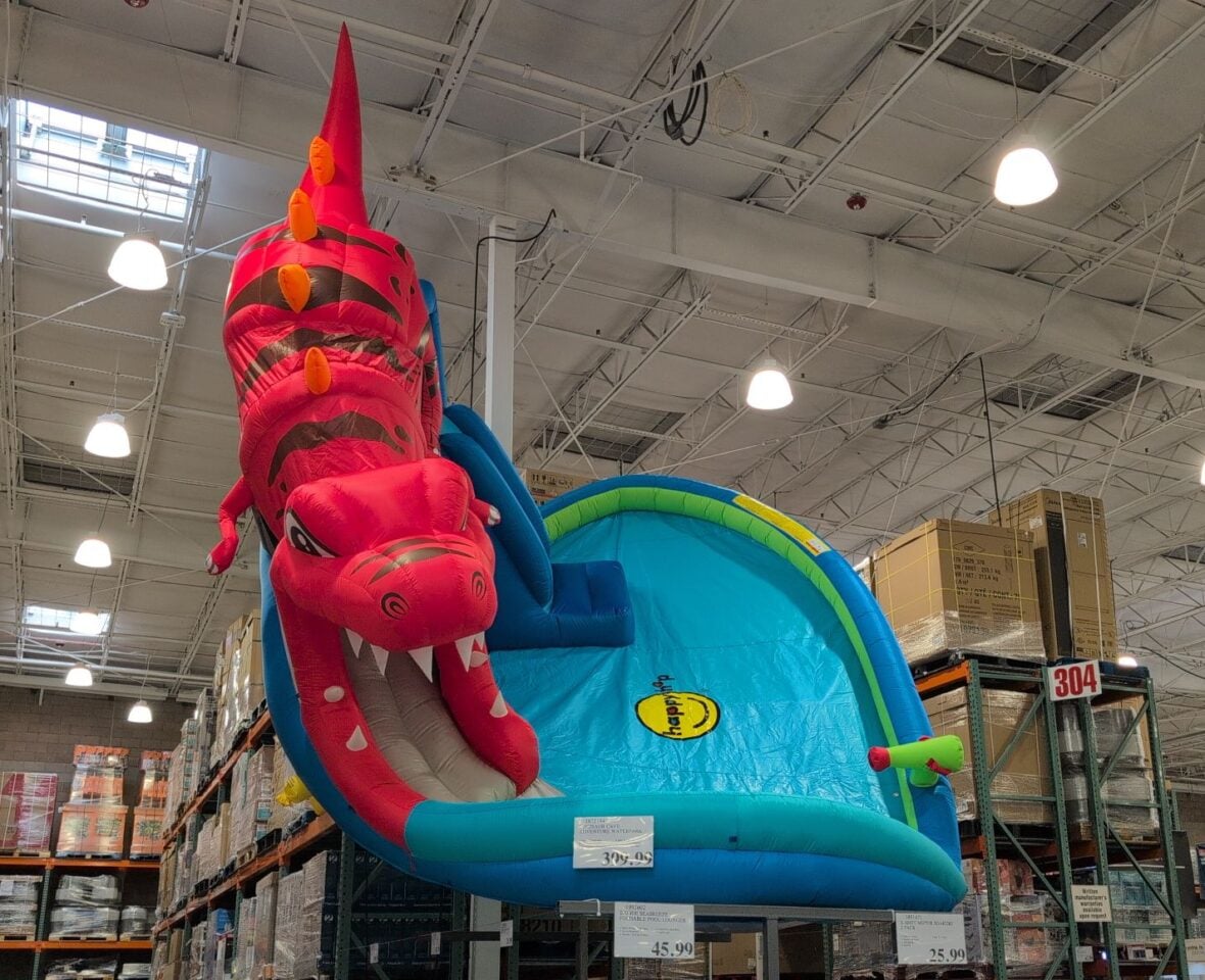 Dinosaur Cave Adventure Waterpark at Costco