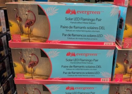 Evergreen Solar LED Metal Flamingo Statue Pair at Costco