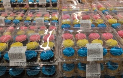 Costco seasonal cupcakes - vanilla & chocolate