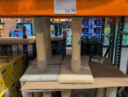 North American Pet Cat Post at Costco