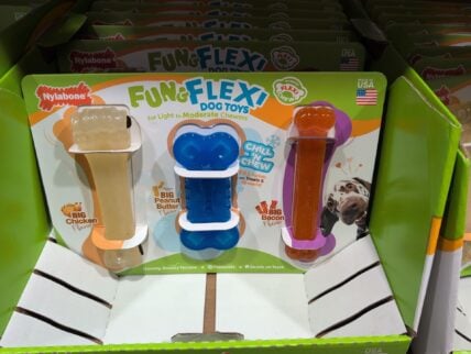 Nylabone Fun & Flexi Dog Toy at Costco
