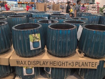 Round Glazed Ceramic Planter at Costco