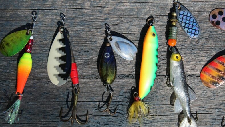 fishing lures on table / fishing gear at costco