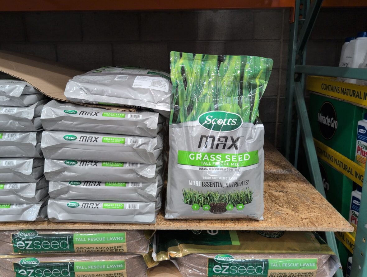 Scotts Max Grass Seed Tall Fescue Mix at Costco