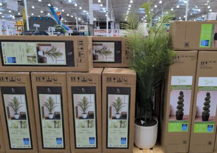 C.g. Hunter Faux 6.5' Palm Tree at Costco
