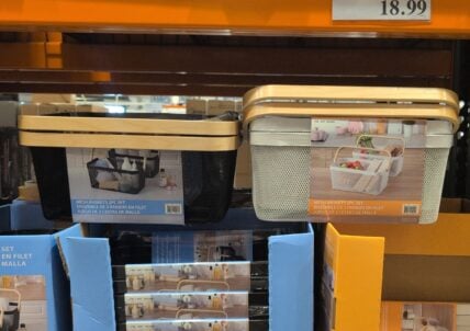 Edifice Mesh Storage Basket with Handle at Costco