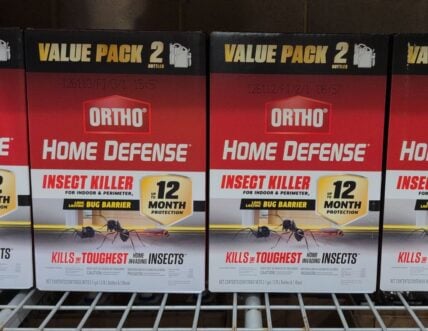 Ortho Home Defense Insect Killer 2-1 Gallons at Costco