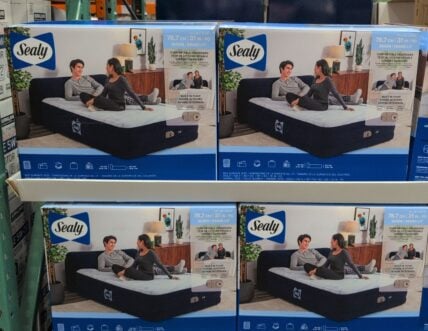 Sealy Queen Airbed with Headboard at Costco