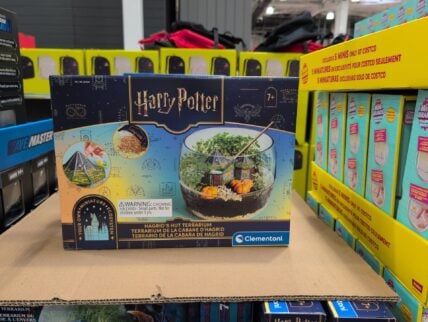 Terrarium Kit Assort Harry Potter or Stranger Things at Costco