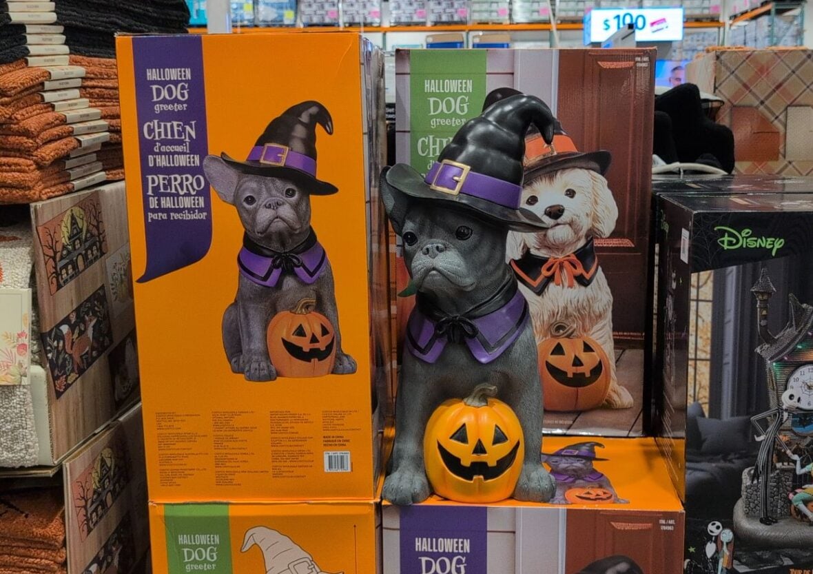 26" Halloween Dog Greeter at Costco