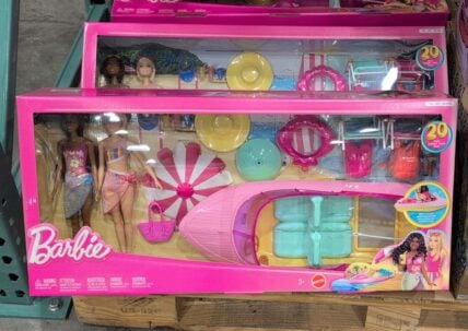 Barbie Lake Adventure Playset at Costco