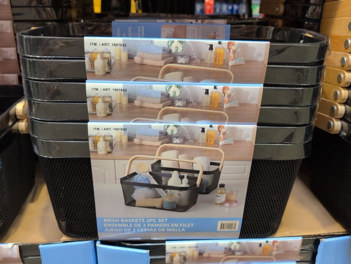 Edifice Mesh Storage Basket with Handle, 2-Pack at Costco