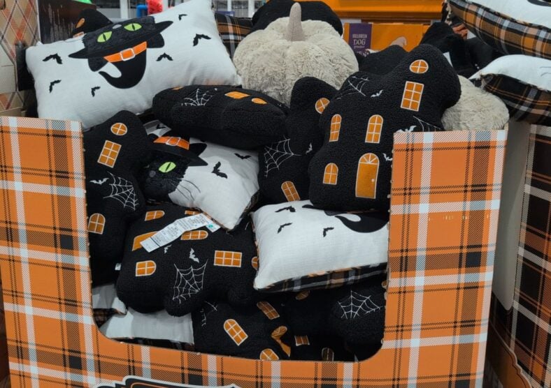 Halloween Decorative Pillows Haunted House or Cat at Costco
