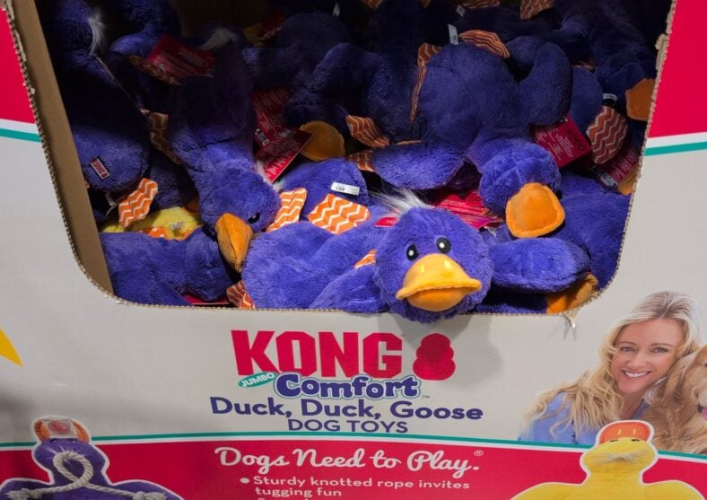 Kong Duck, Duck, Goose Dog Toy at Costco