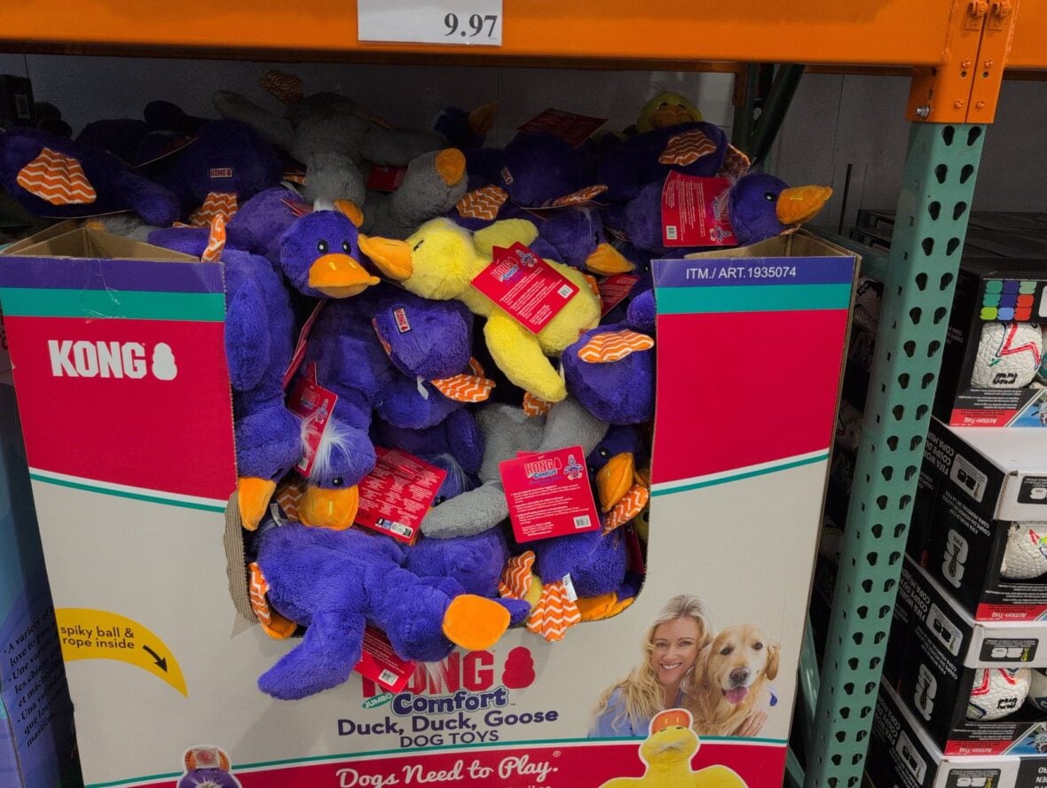 Kong Duck Duck Goose Dog Toy at Costco