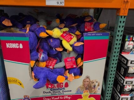 Kong Duck Duck Goose Dog Toy at Costco