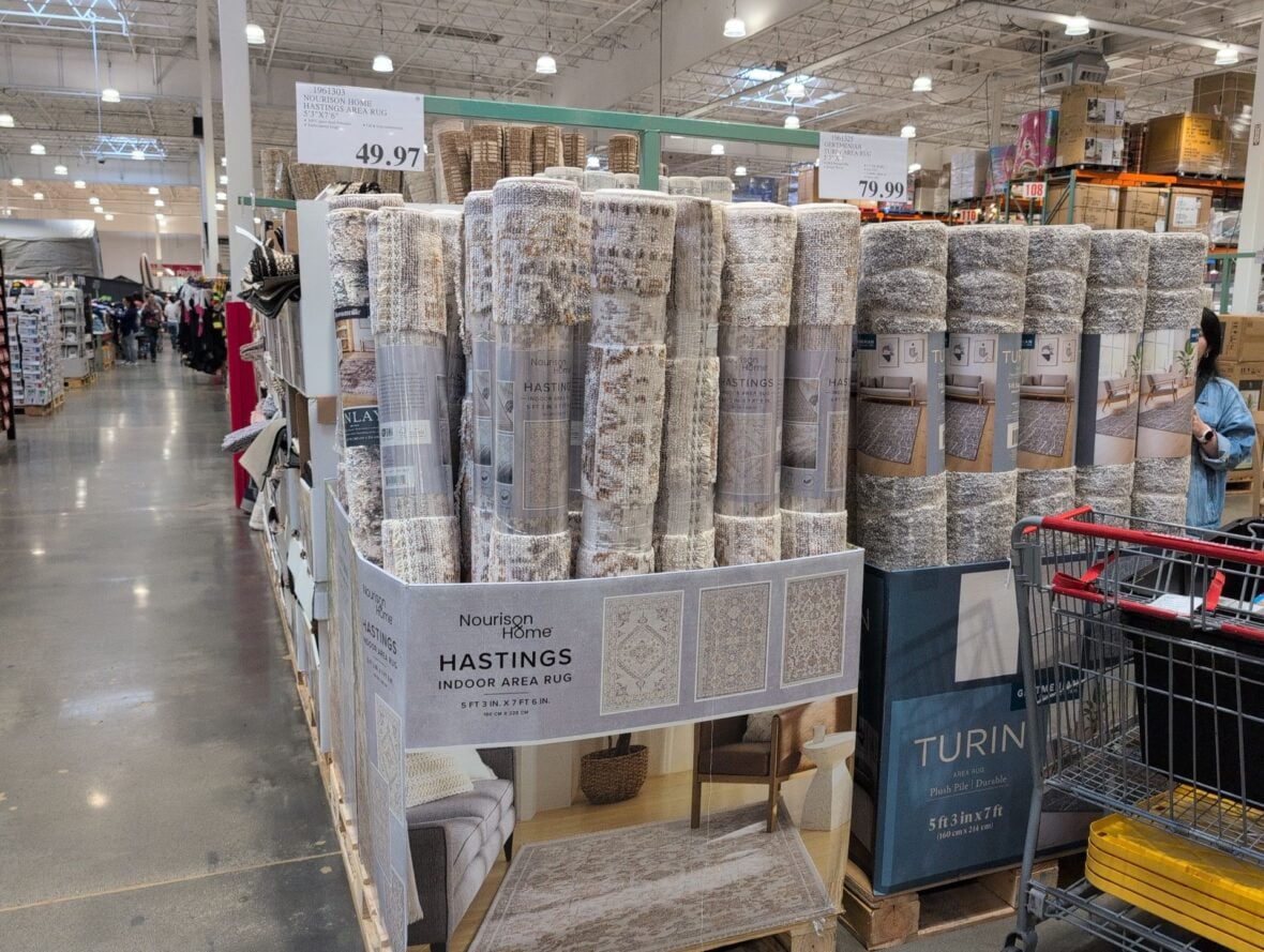 Nourison Home Hastings Area Rug at Costco