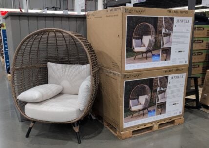 Sunvilla Egg Style Chair at Costco