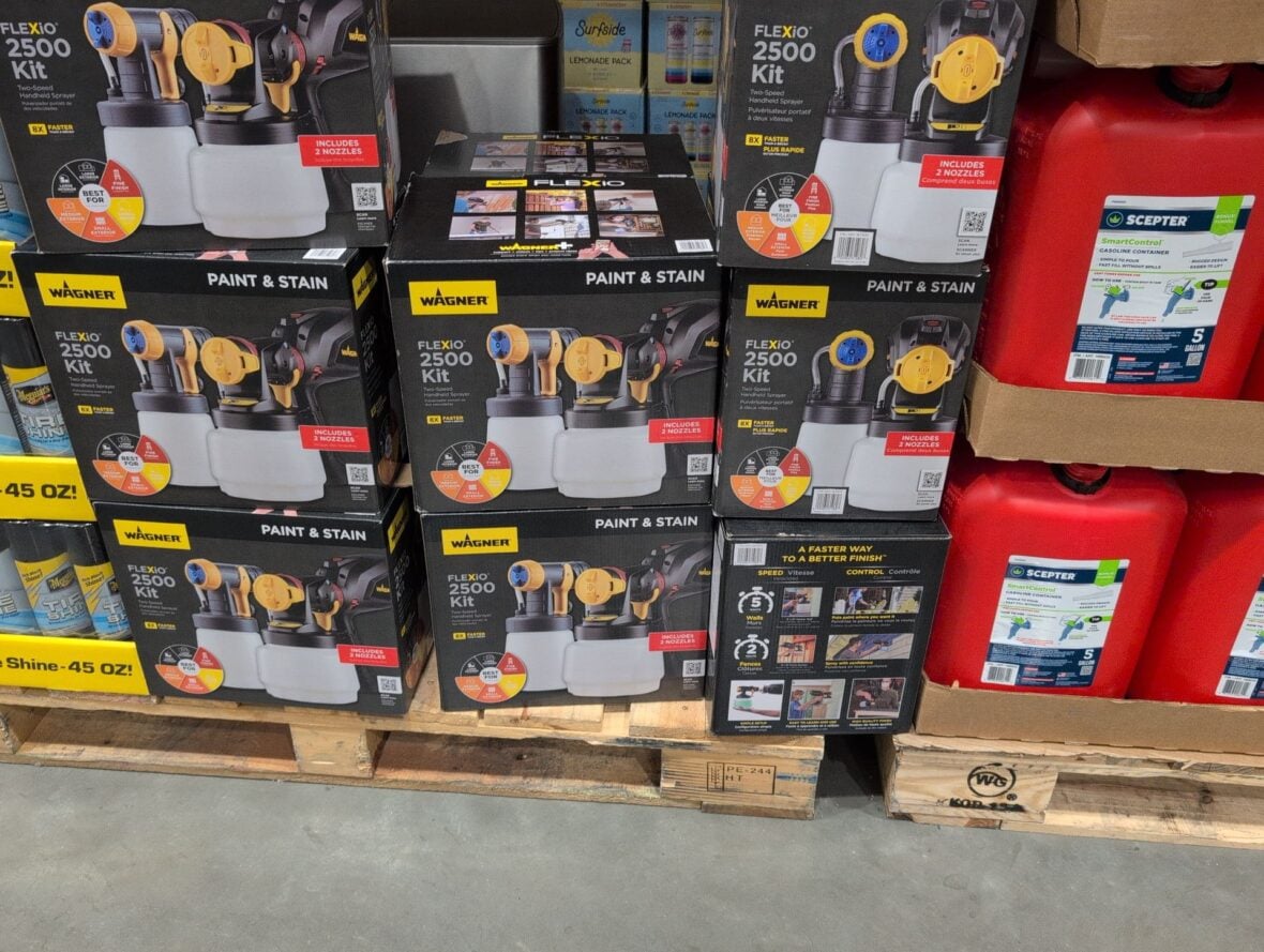 Wagner Flexio Pant Sprayer Bundle with Detailed Finish at Costco