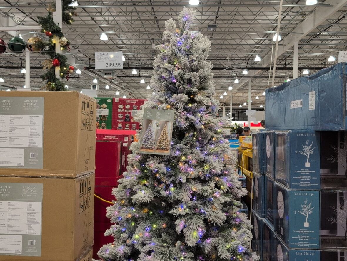 7.5' Pre-Lit Flocked Micro LED Christmas Tree with Twinkle Function at Costco