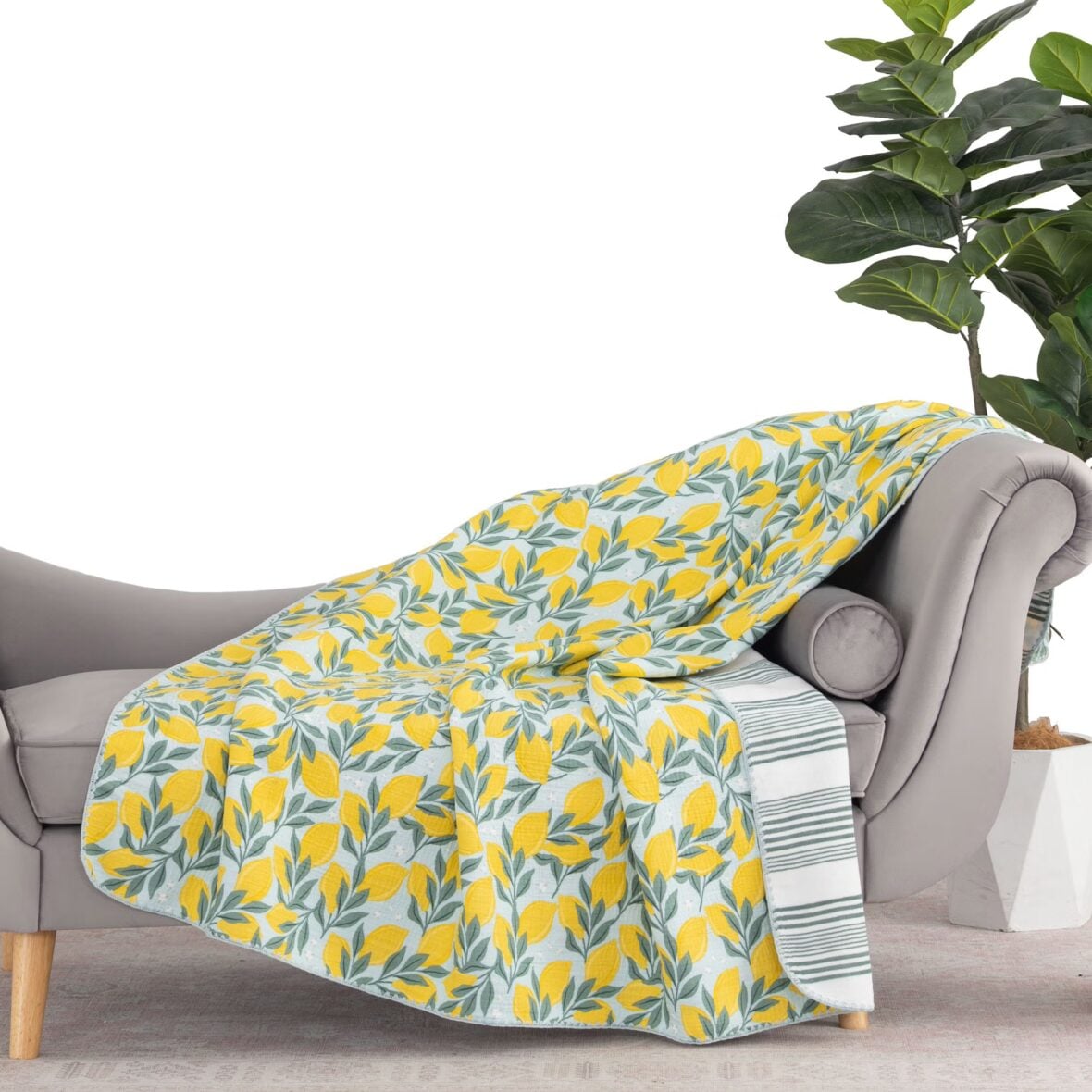 Artist Collection Cotton Gauze Throw