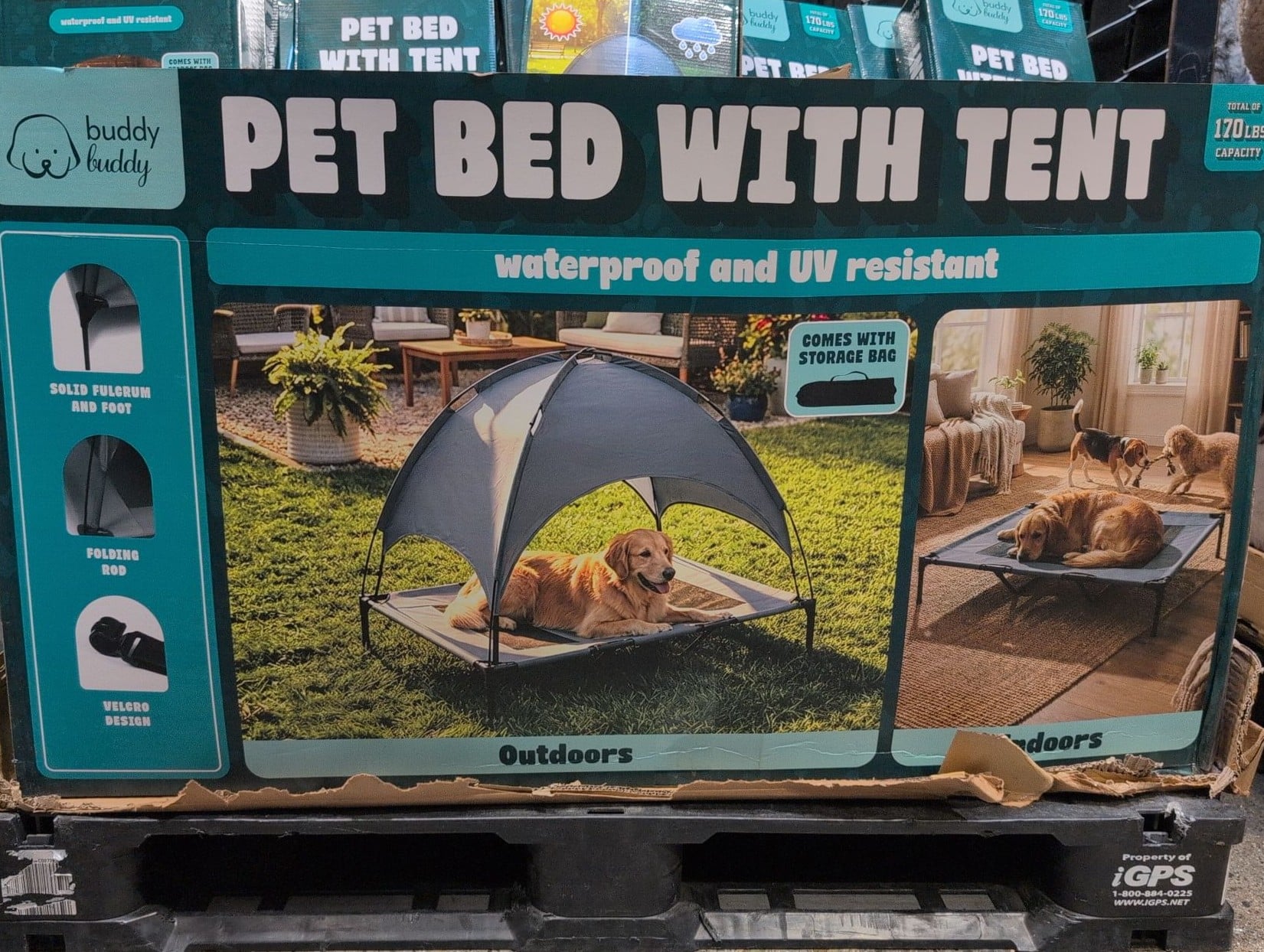 Buddy Buddy Pet Bed With Tent