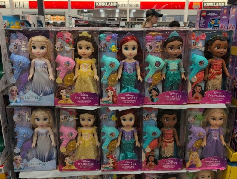 Disney Large Doll & Hair Play Set Assortment at Costco