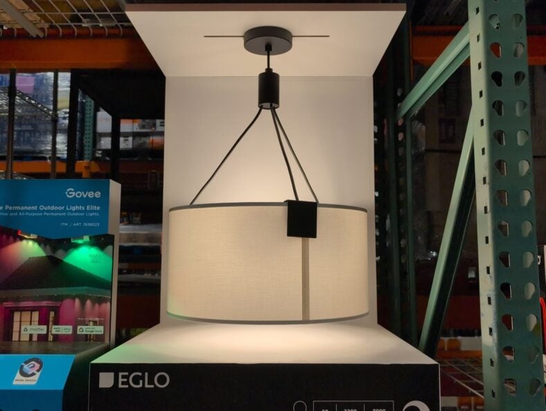 Eglo Kingsley Pendant Light at Costco