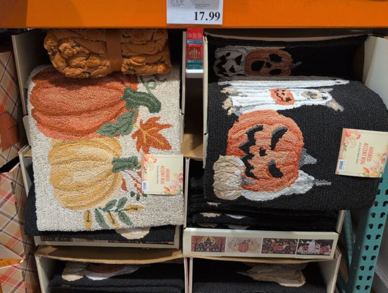 Hooked Accent Rug at Costco