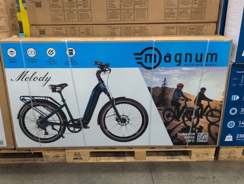 Magnum Melody Step Thru Electric Bike at Costco