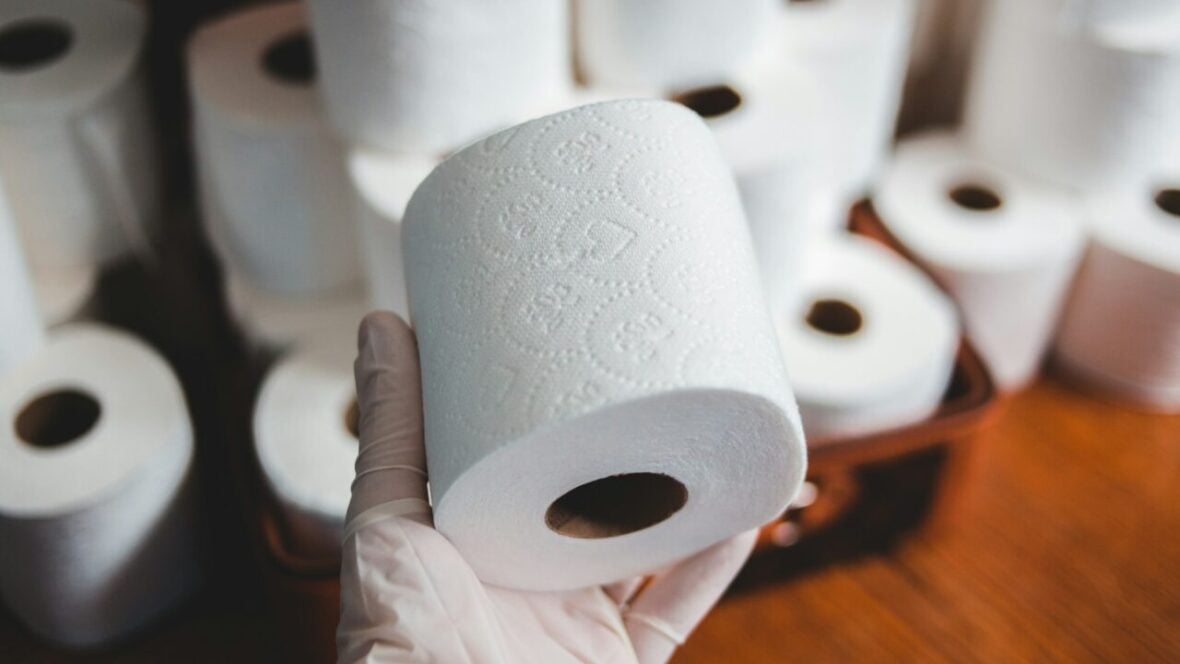 person holding toliet paper roll / costco paper products