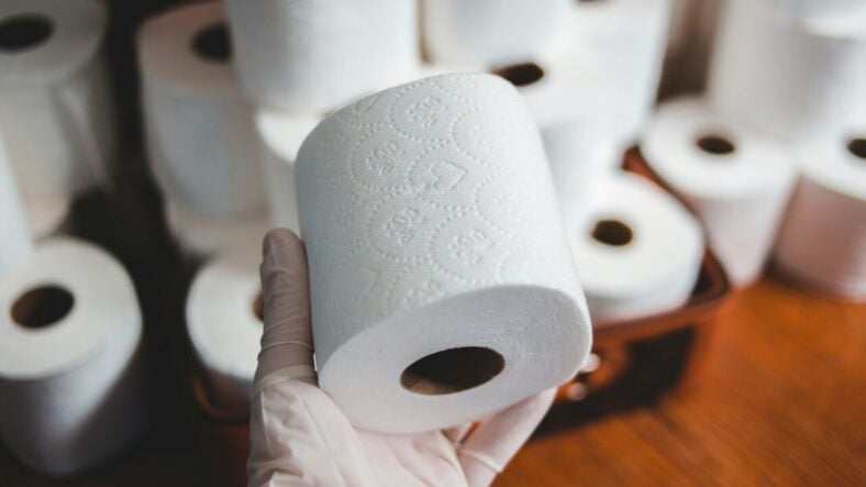 person holding toliet paper roll / costco paper products
