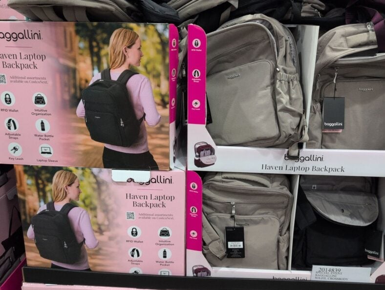 Baggallini Haven Laptop Backpack at Costco