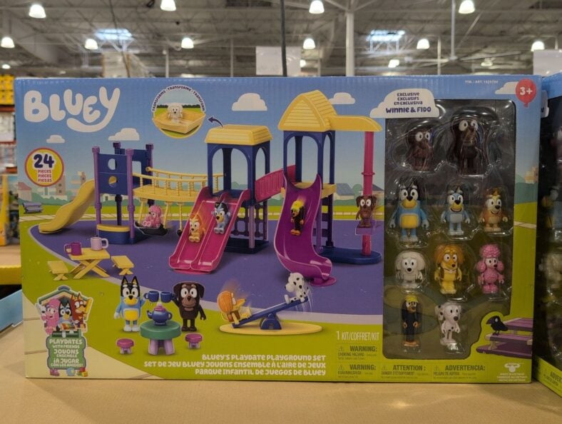 Bluey Playdate Playground Set at Costco