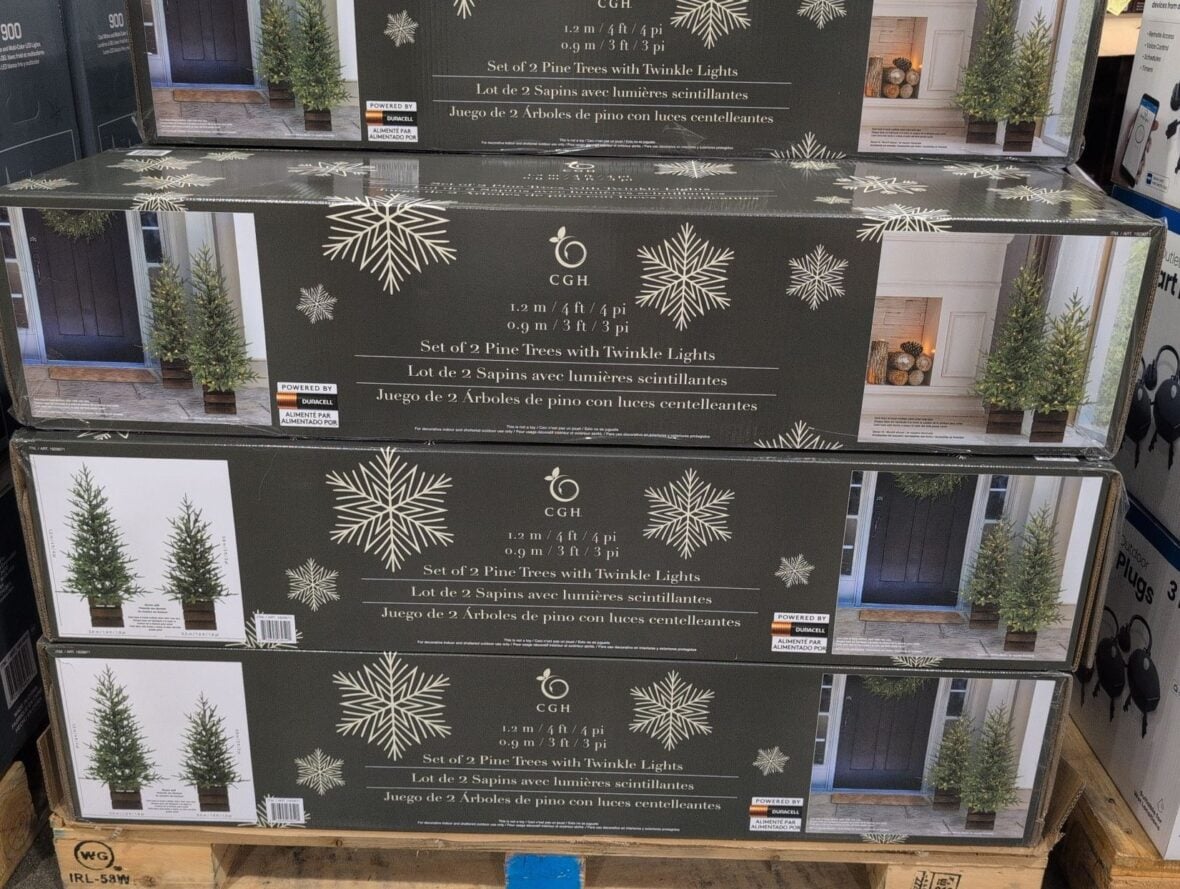 CGH Pine Trees with Twinkle Lights Set of 2 at Costco