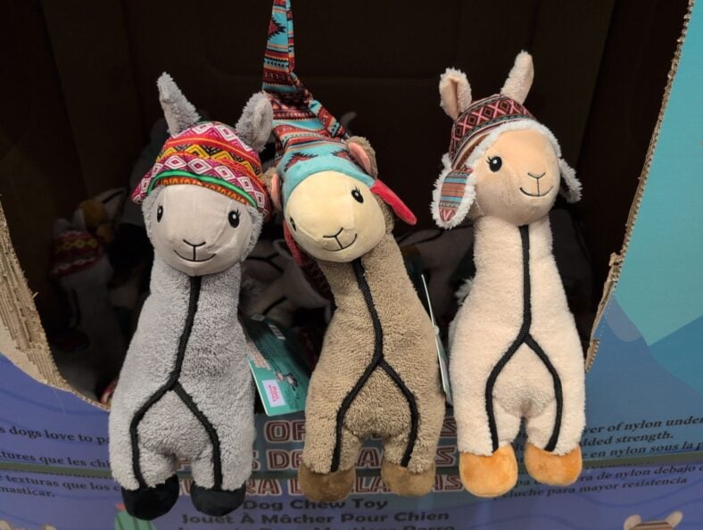 Delca Land of the Llamas Dog Toy at Costco