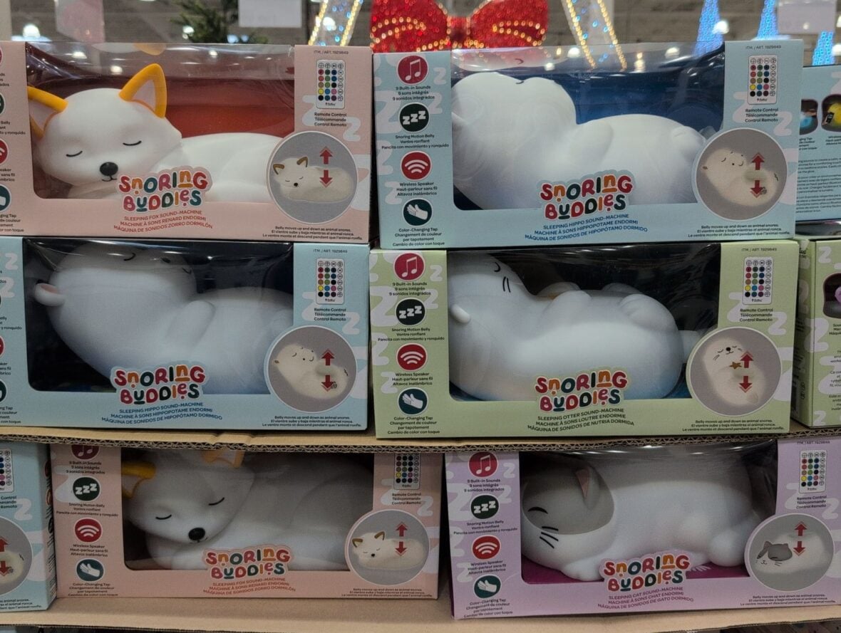 Snoring Buddies Squishy Lamp Assortment at Costco