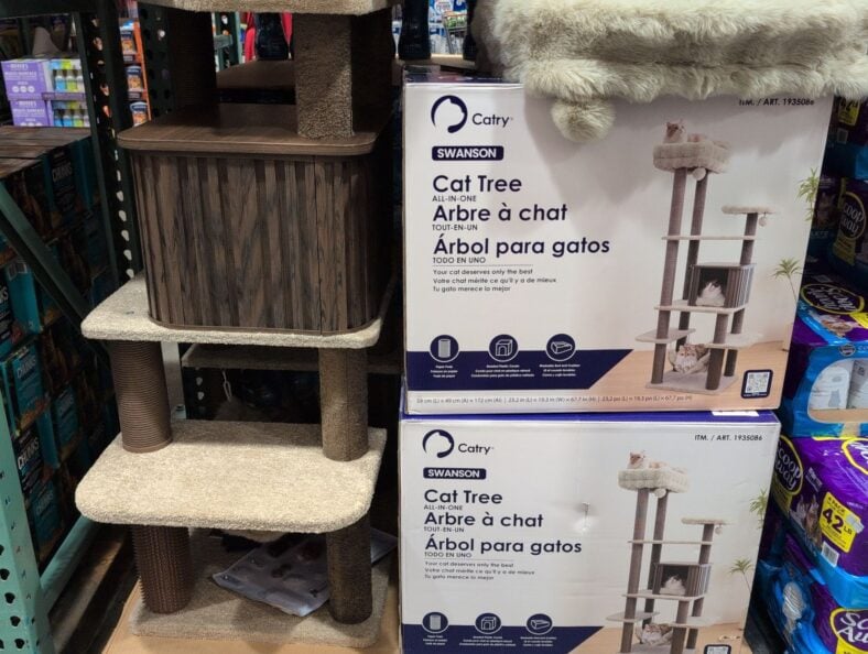 Catry Swanson Cat Tree at Costco