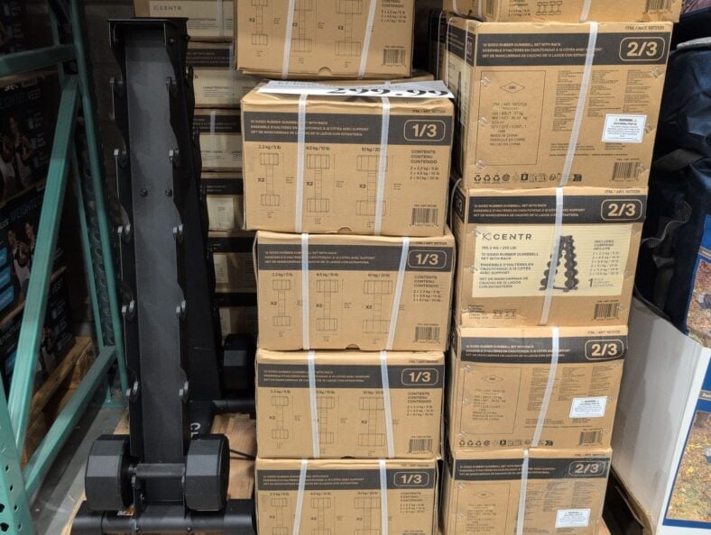 Centr 12-Sided 210 LB Rubber Dumbbell Set at Costco