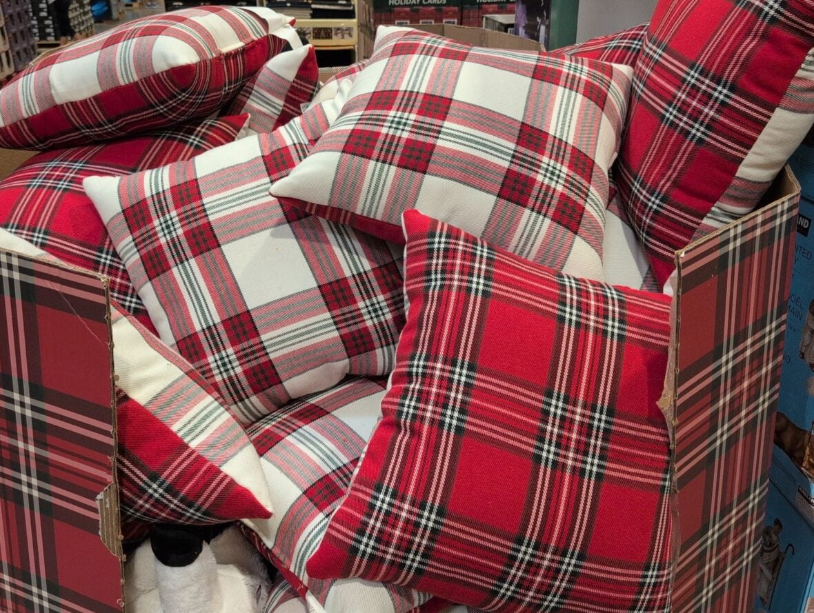 Holiday Decor Pillows - Penguin or Gingerbread House at Costco