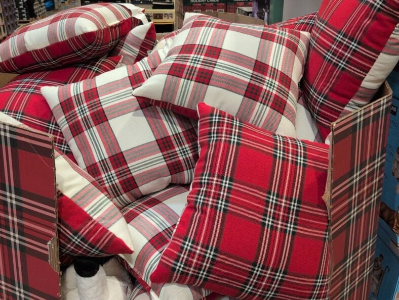 Holiday Decor Pillows - Penguin or Gingerbread House at Costco