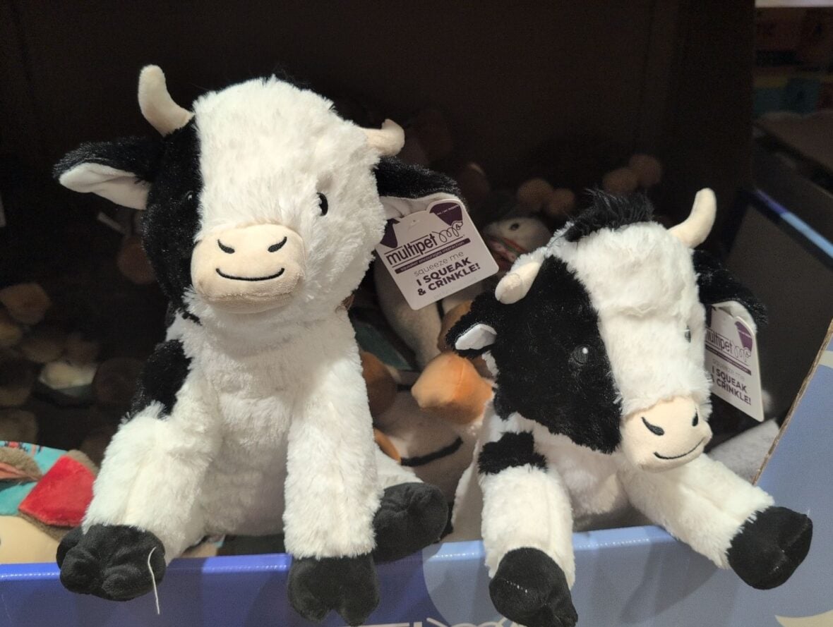 Multipet Highland/Holstein Cow Dump Bin at Costco