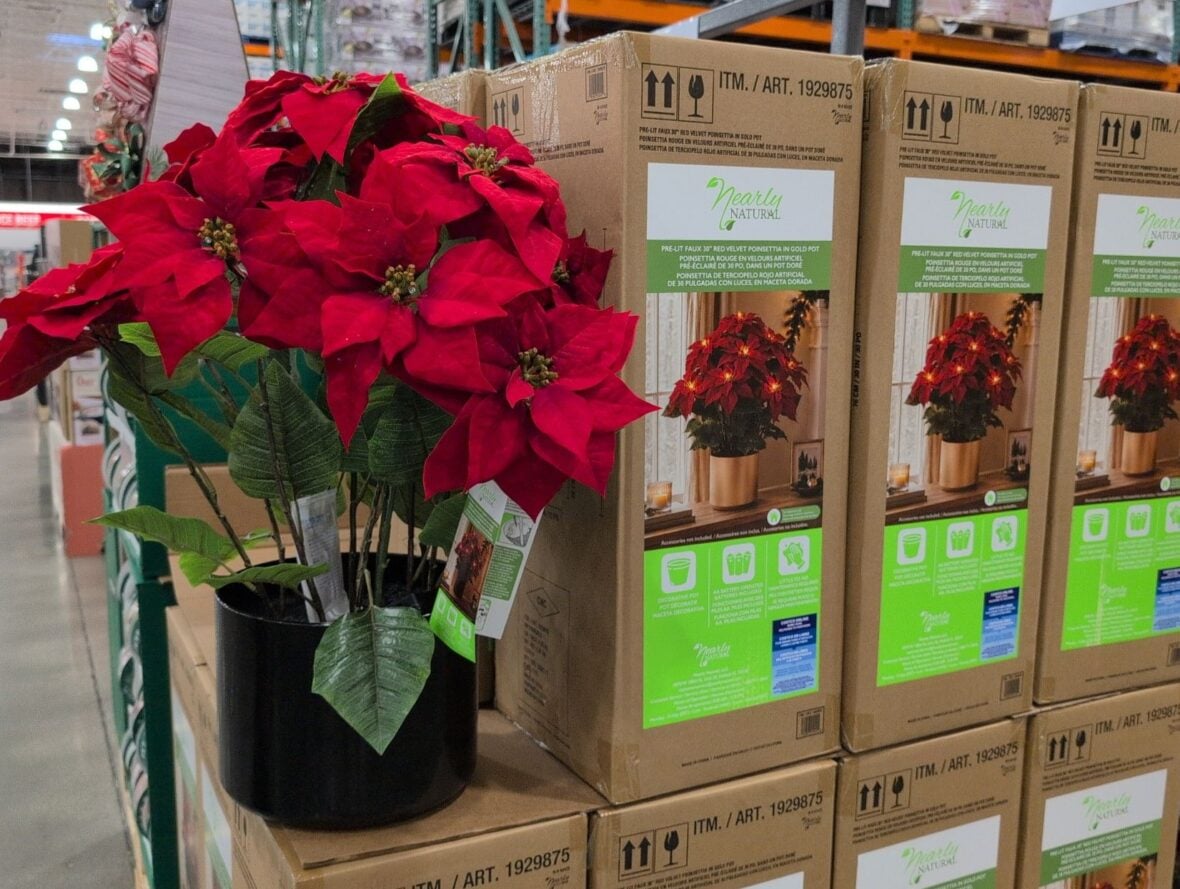 Nearly Natural 30-Inch Pre-Lit Red Velvet Poinsettia Pot at Costco