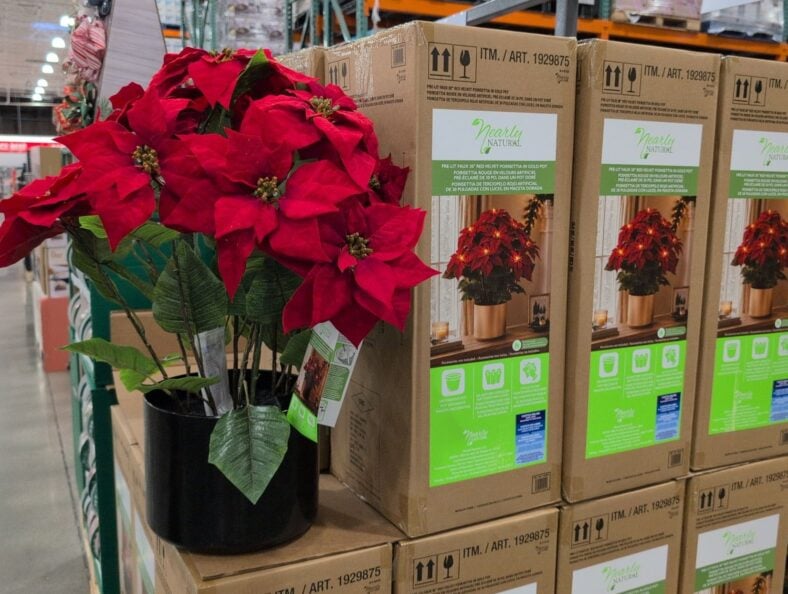 Nearly Natural 30-Inch Pre-Lit Red Velvet Poinsettia Pot at Costco